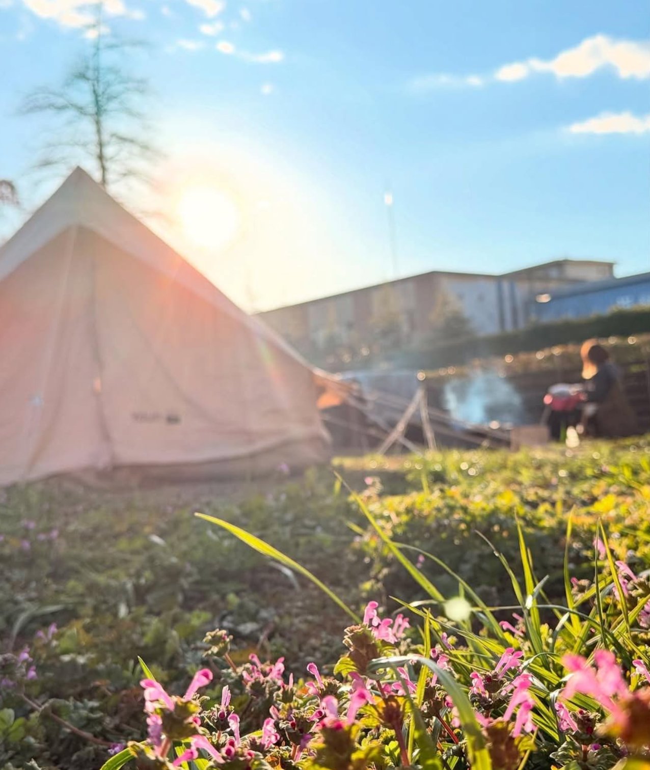 逆光のティピーテントと花